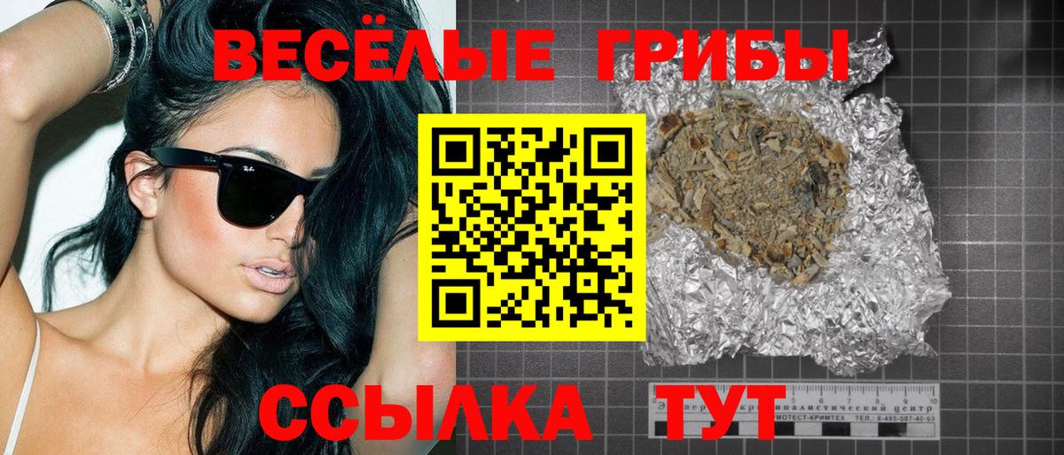 Губаха  Галлюциногенные грибы прущие грибы  Галлюциногенные грибы ЛСД  Вход с VPN 