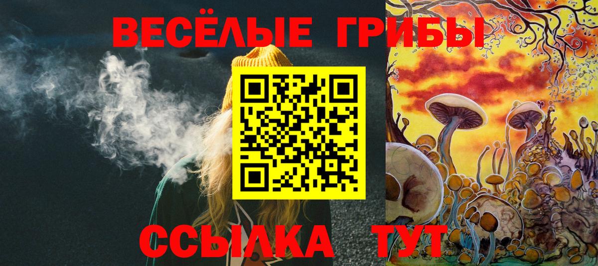 Псилоцибиновые грибы Psilocybine cubensis Губаха